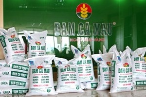 IPO Đạm Cà Mau, giá khởi điểm 12.000 đồng/CP