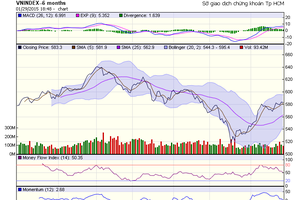 Đồ thị phân tích kỹ thuật VN-Index (Nguồn: HOSE)