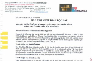 CTCP Phân bón Bình Điền công bố BCTC kiểm toán 2014