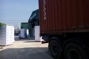 Các sản phẩm mới của ITQ như nhựa kỹ thuật và xốp EPS định hình được nhiều tập đoàn lớn của Nhật Bản và châu Âu đặt hàng