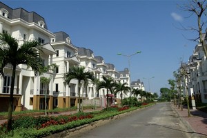 NTL đã cải thiện dòng tiền