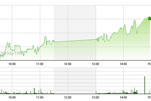 Phiên giao dịch chiều 22/6: Đứt tay