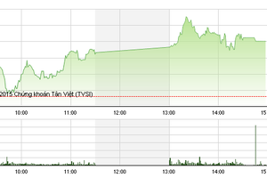 Phiên giao dịch chiều 13/7: EIB có biến lớn