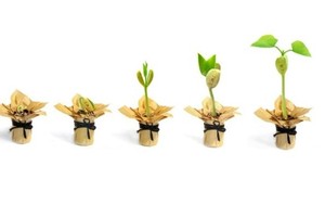 Góc nhìn chuyên gia tuần mới: Cổ phiếu đầu cơ còn giữ được nhiệt?