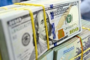 Ngân hàng Nhà nước hạ lãi suất tiền gửi USD của cá nhân về 0% 