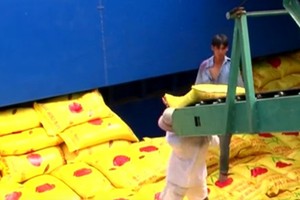 Trung Quốc vẫn là thị trường xuất khẩu gạo lớn nhất của Việt Nam