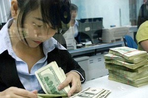 Tỷ giá trung tâm ngày 7/1: tăng 12 đồng, lên 21.919 đồng/USD