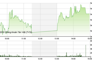 Phiên giao dịch chiều 16/2: Cổ phiếu đầu cơ đồng loạt tăng trần