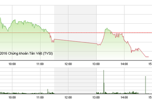 Phiên giao dịch chiều 25/2: VN-Index giảm sâu, VNM gây đột biến