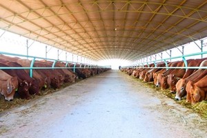 Cổ phiếu cần quan tâm ngày 16/3