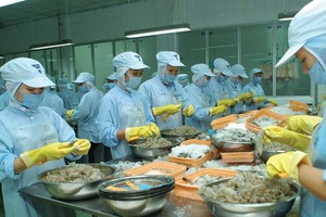 Kháng sinh là câu chuyện dai dẳng với thủy sản nhiều năm nay. Ảnh: Chí Cường