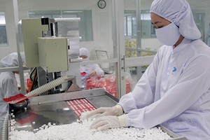 Sóng đầu tư nước ngoài đổ về các nhà máy thuốc