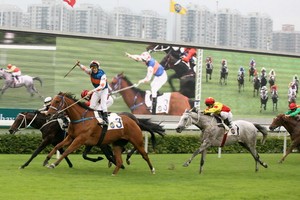 Dự án trường đua ngựa 100 triệu USD ở Bình Phước bị thu hồi