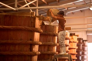 Masan Consumer sở hữu nhà thùng ủ chượp nước mắm cốt tại Phú Quốc với quy mô gần 500 thùng chượp có tổng sức chứa trên 10.000 tấn cá