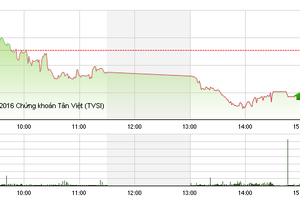 Phiên chiều 12/12: Cổ phiếu đầu cơ bị bán tháo mạnh