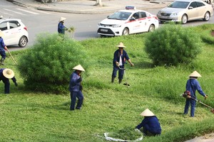 Chi phí cắt cỏ tại Hà Nội được dư luận quan tâm sau thông tin cắt cỏ24 km đại lộ Thăng Long hết 53 tỷ đồng. Ảnh minh họa: Võ Hải.