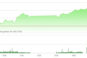 Phiên chiều 2/2: Thị trường khởi sắc, cặp đôi HAG - HNG đua nhau tăng trần