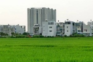 Thủ tướng đồng ý cho Hà Nội chuyển đổi 61,8 ha đất trồng lúa sang đất phi nông nghiệp