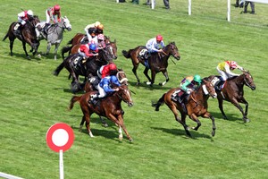 Hướng dẫn kinh doanh đặt cược đua ngựa, đua chó, bóng đá quốc tế