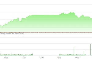 Phiên chiều 6/3: FLC, FIT, ROS, HAI nổi sóng