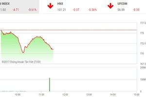Phiên sáng 10/7: Thị trường tiếp tục giảm sâu, nhiều cổ phiếu đầu cơ vẫn nổi sóng