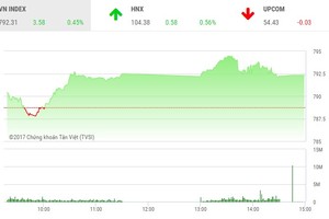 Phiên chiều 5/9: ROS tăng mạnh, HAI lao xuống mức sàn