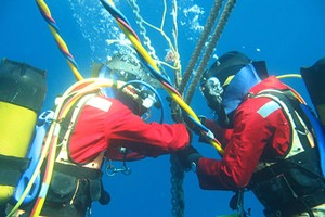 AAG có thêm điểm lỗi mới sau hai vị trí đứt được phát hiện hôm 27/8.Ảnh minh họa.