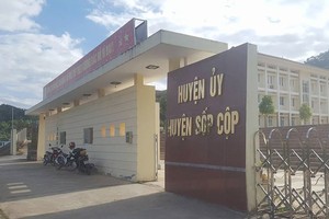 Sơn La: Bắt nữ cán bộ huyện vay hơn 55 tỷ đồng không trả