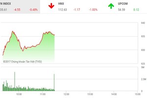 Phiên sáng 11/12: Lực cầu bắt đáy giúp VN-Index tránh được vực sâu