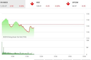 Phiên sáng 13/3: Nhiều cổ phiếu nhỏ nổi sóng, VN-Index vẫn trượt dốc