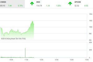 Phiên sáng 19/9: Nhà đầu tư hứng khởi, VN-Index chạm mốc 1.000 điểm