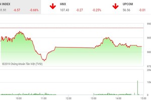 Phiên chiều 10/4: Cổ phiếu nhỏ nổi sóng