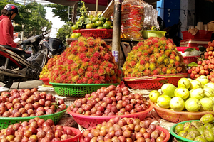 Mận hậu được nhiều khách ưa chuộng. Ảnh:Thi Hà.