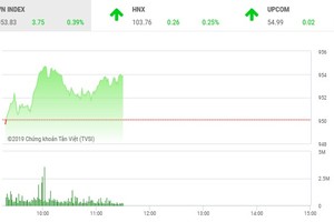 Phiên sáng 14/6: Cổ phiếu ngân hàng đỡ VN-Index gượng dậy