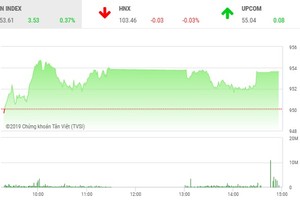 Phiên chiều 14/6: Giữ vững sắc xanh
