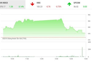 Phiên chiều 27/11: Cổ phiếu nhỏ nổi sóng, VN-Index thoát hiểm