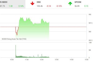 Phiên sáng 22/1: Nhiều sóng lớn cuối năm