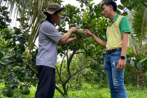 Phân bón Cà Mau được vinh danh thương hiệu quốc gia