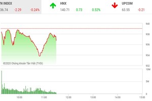 Giao dịch chứng khoán sáng 22/10: Thiếu trụ đỡ, thị trường tiếp tục giảm điểm