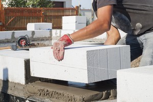 ảnh Shutter stocks