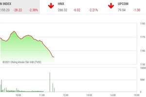 Giao dịch chứng khoán sáng 24/3: Bảng điện tử loạn giá, VN-Index lao dốc 
