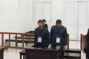 Hà Nội: Cựu chủ tịch xã Cổ Đô (Ba Vì) giao hàng nghìn mét vuông đất trái luật được giảm án