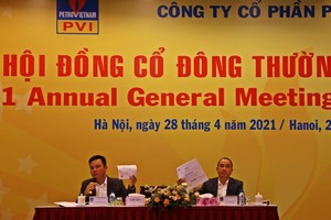 Dư âm từ đại hội đồng cổ đông 2021 của PVI