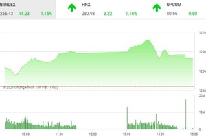 Giao dịch chứng khoán chiều 5/5: HDB khởi sắc, VN-Index giữ vững đà tăng