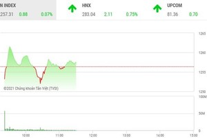 Giao dịch chứng khoán phiên sáng 6/5: Thị trường phân hóa, cặp đôi FLC - ROS vào sóng mới