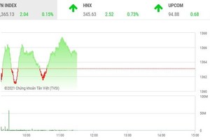 Giao dịch chứng khoán sáng 18/8: Thị trường rung lắc trong vùng tích lũy