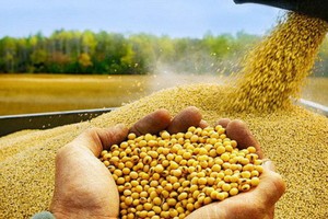 Thị trường hàng hóa tuần từ 3-10/9: Khí LNG và nickel tăng kỷ lục, vàng và nông sản đi xuống