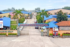 Công ty cổ phần Đầu tư và Phát triển TDT thông báo chào bán cổ phiếu ra công chúng