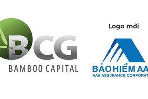 Bamboo Capital (BCG) được phê duyệt nhận chuyển nhượng cổ phần bảo hiểm AAA