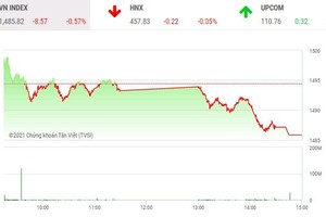 Giao dịch chứng khoán chiều 29/12: VN-Index mất hơn 8 điểm, nhưng không thiếu điểm nóng